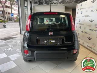 FIAT Panda usata, con Antifurto