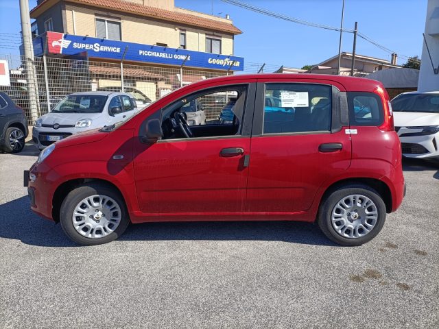 FIAT Panda usata, con Antifurto