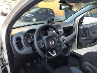 FIAT Panda usata, con Servosterzo