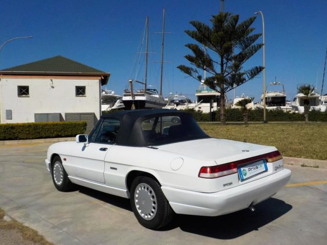 ALFA ROMEO Spider usata 6
