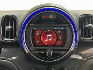 MINI Countryman usata, con Cronologia tagliandi