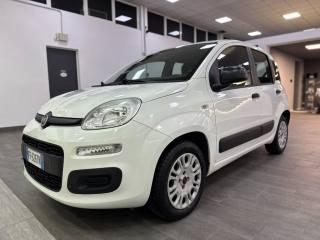 FIAT Panda usata 31