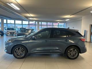 FORD Kuga usata, con Controllo trazione