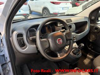 FIAT Panda usata, con Controllo trazione