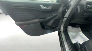 FORD Kuga usata, con Fendinebbia