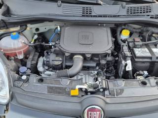 FIAT Panda usata, con Sensori di parcheggio posteriori