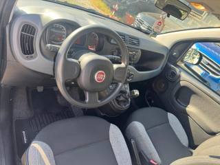 FIAT Panda usata, con Climatizzatore