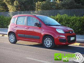 FIAT Panda usata 15