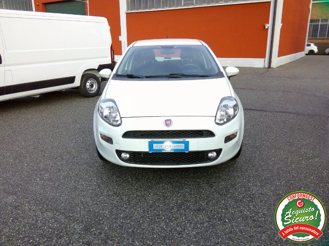 FIAT Punto usata, con Immobilizzatore elettronico
