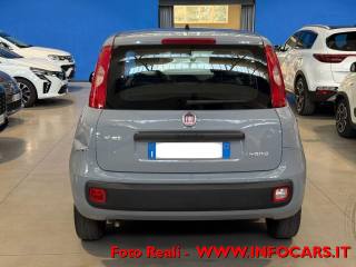 FIAT Panda usata 14