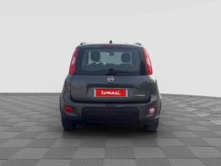 FIAT Panda usata 4