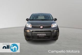 FIAT Panda usata 1