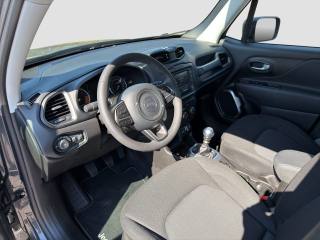 JEEP Renegade usata 8
