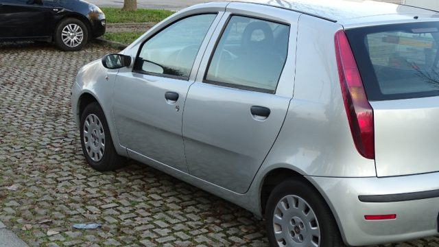FIAT Punto usata 37