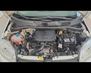 FIAT New Panda usata 21