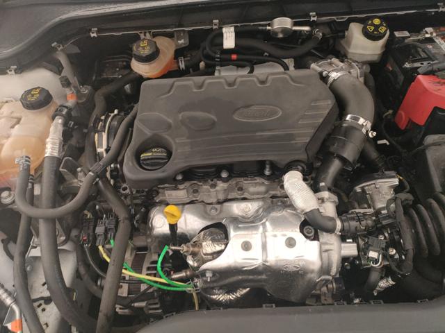 FORD Focus usata, con Bracciolo