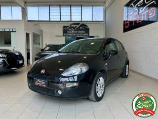 FIAT Punto 1.2 8V 5p. Street *NEOPATENTATI*DISTRIBUZIONE OK*