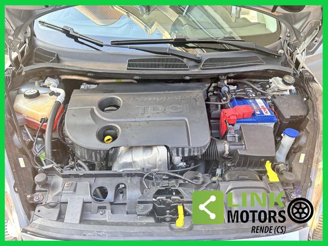 FORD Fiesta usata 36