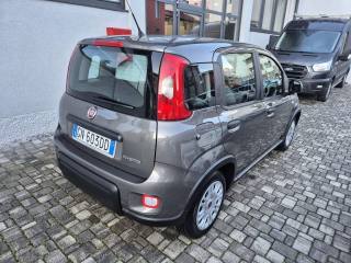 FIAT Panda usata, con ESP