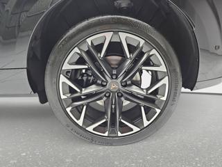 CUPRA Terramar usata, con Fendinebbia