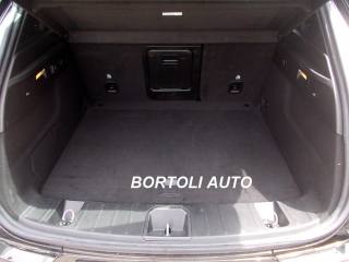 ALFA ROMEO Tonale usata, con Controllo trazione