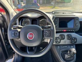 FIAT Panda Cross usata, con Autoradio
