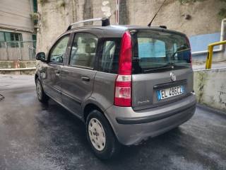 FIAT Panda usata 2