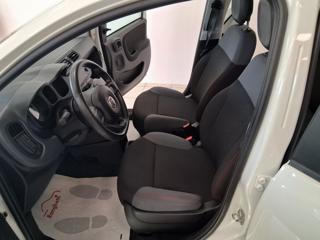 FIAT Panda usata, con Controllo trazione