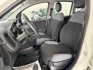 FIAT Panda usata, con Cronologia tagliandi
