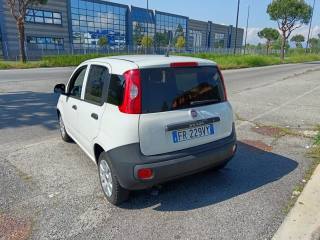 FIAT Panda usata, con Immobilizzatore elettronico