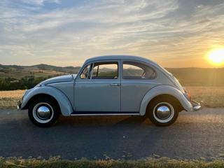 VOLKSWAGEN Maggiolino usata 9