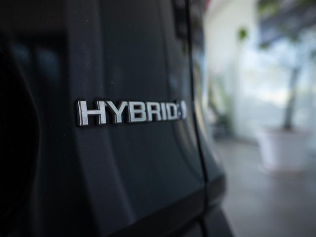 TOYOTA RAV 4 usata, con Immobilizzatore elettronico