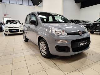 FIAT Panda usata, con Airbag Passeggero
