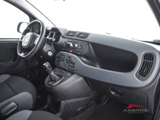 FIAT Panda usata 11