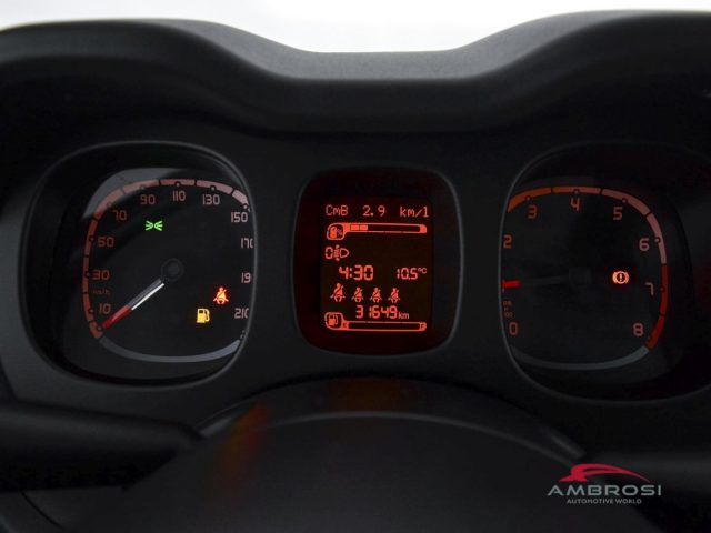 FIAT Panda usata 12