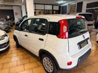 FIAT Panda usata, con Airbag
