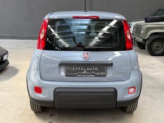 FIAT Panda usata, con Antifurto
