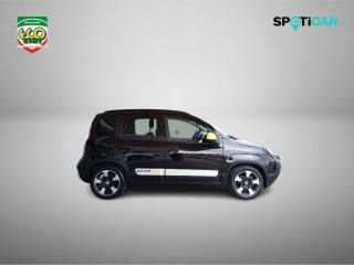 FIAT Panda Cross usata, con Climatizzatore
