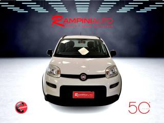 FIAT Panda usata 2