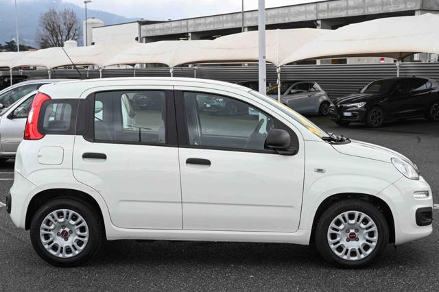 FIAT Panda usata, con Alzacristalli elettrici