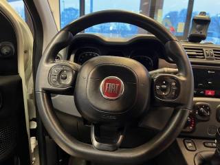 FIAT Panda usata 15