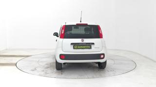 FIAT Panda usata, con Airbag Passeggero