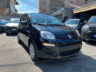 FIAT Panda 1.0 FireFly S&S *PREZZO PROMO*