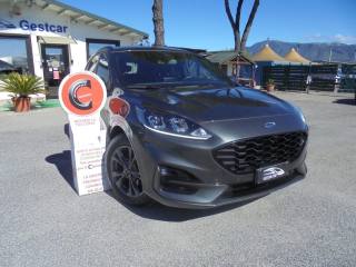 FORD Kuga 1.5 EcoBlue 120 CV aut. 2WD ST-Line