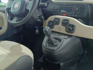 FIAT Panda usata, con Servosterzo