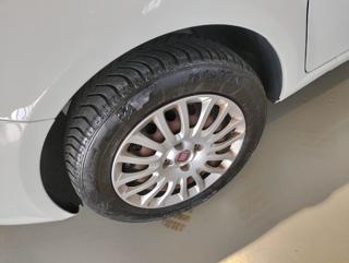 FIAT Punto usata 14