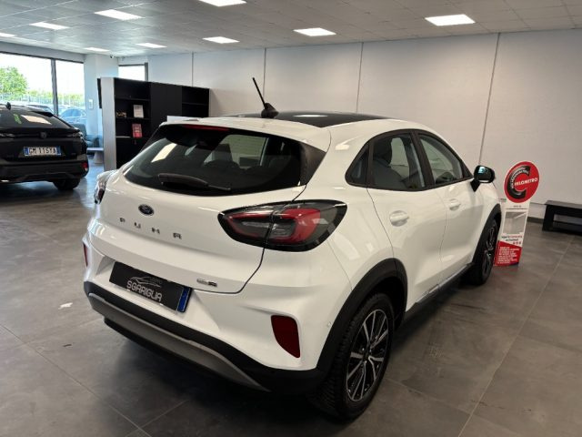 FORD Puma usata, con Bracciolo