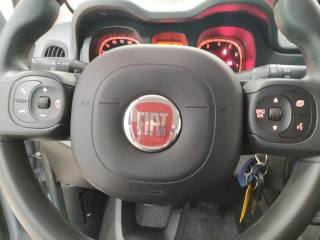 FIAT Panda usata, con Fendinebbia