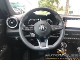 ALFA ROMEO Tonale usata, con Cronologia tagliandi