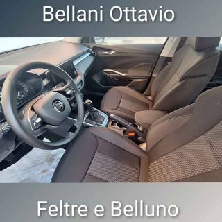 SKODA Fabia usata, con Controllo trazione